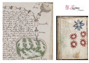 Il manoscritto Voynich, il libro misterioso trovato a Frascati.