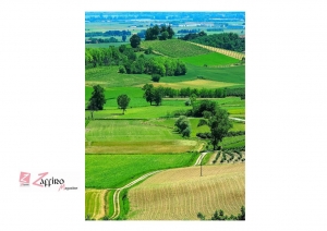 &ldquo;PeM! Festival - Parole e Musica in Monferrato&rdquo;, la rassegna piemontese di incontri