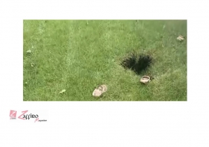 Precipita in una voragine nel giardino. Donna di NY ha rischiato la vita il giorno del suo compleanno.
