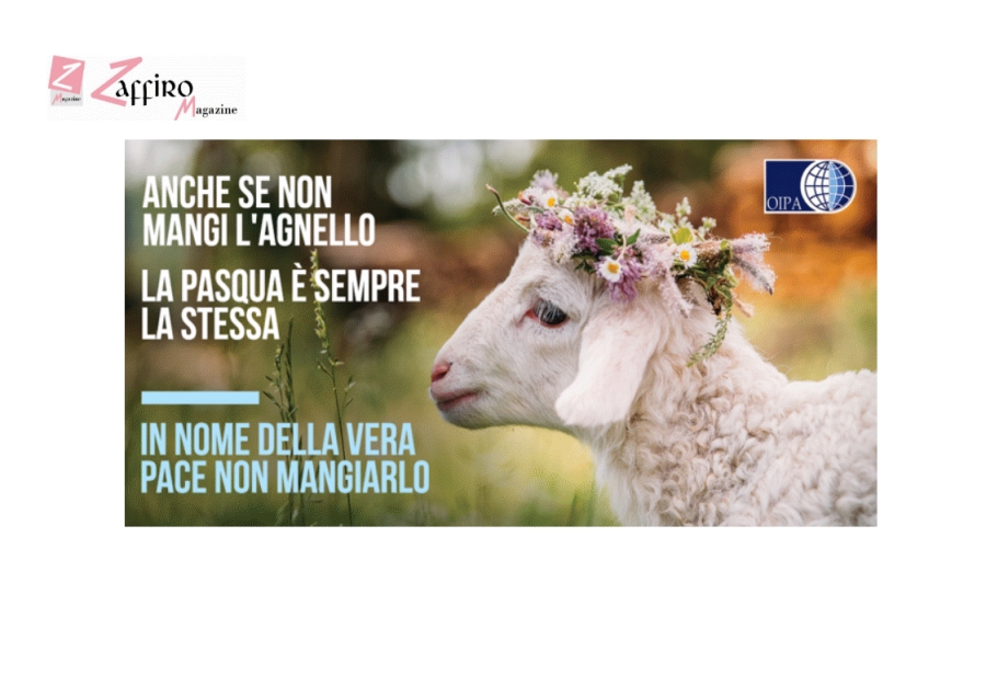 L&#039;altra faccia della Pasqua, oltre 300 mila agnelli e capretti al macello per 5,62 euro al kg.