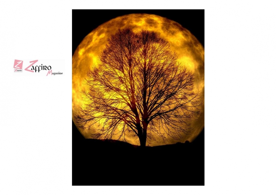 Luna Gelata: ore 23:27, raggiunge il punto più vicino alla Terra