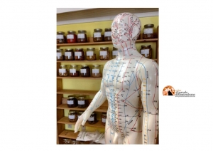 Omeopatia e responsabilit&agrave;: il sottile confine tra integrazione e rischio