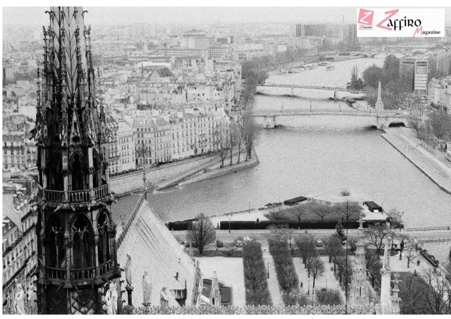 Notre-Dame: mille querce per ricostruire la guglia