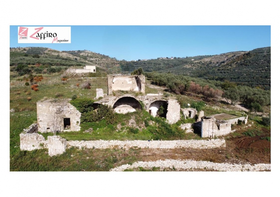 XXVII Sagra dell’Olio di Cervino: confronto su olio e oleoturismo alla Casa della Vigna