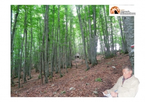 Abruzzo/trekking. Anello Piana Campanaro