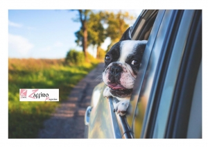 On the road, pro e contro del viaggiare in libert&agrave; senza limiti di orari e soste.