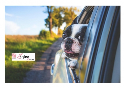 On the road, pro e contro del viaggiare in libertà senza limiti di orari e soste.