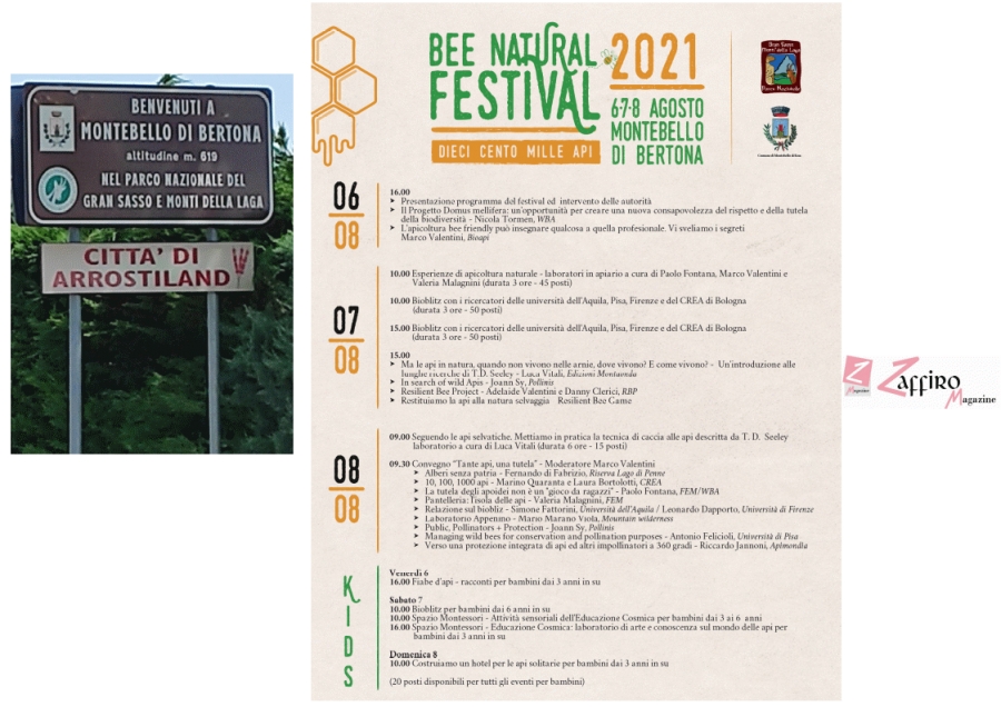 Torna il &quot;Bee Natural Festival&quot;, in Abruzzo il bioblitz per la tutela delle api