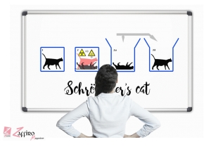 Il gatto di Schrödinger, il paradosso che cerca una soluzione